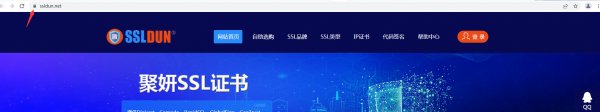 如何在浏览器中查看安装的SSL证书信息