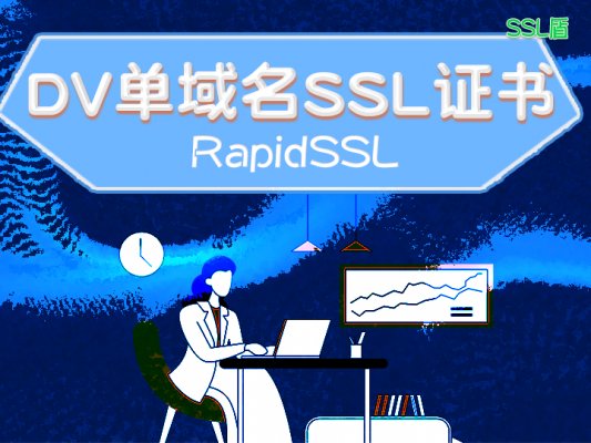 RapidSSL DV单域名SSL数字证书