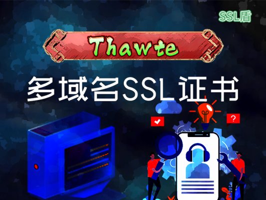 Thawte DV多域名SSL数字证书