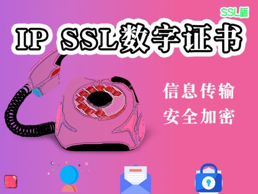 IP SSL证书的价格