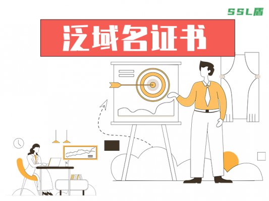 泛域名SSL证书价格
