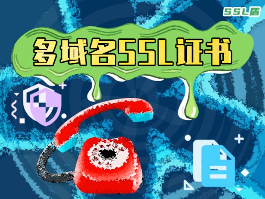 多域名ssl证书价格