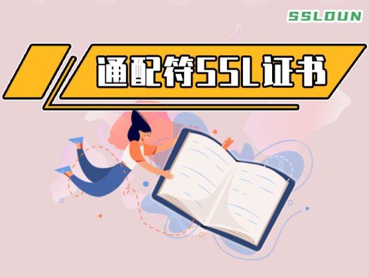 通配符(泛域名)SSL证书