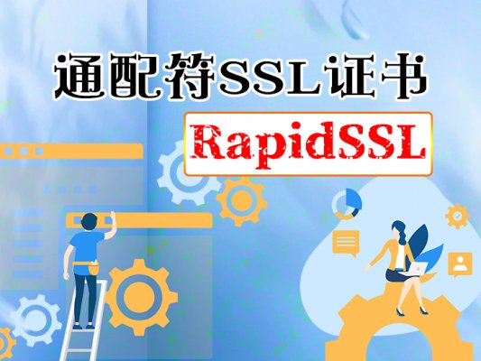 rapid ssl通配符证书800元